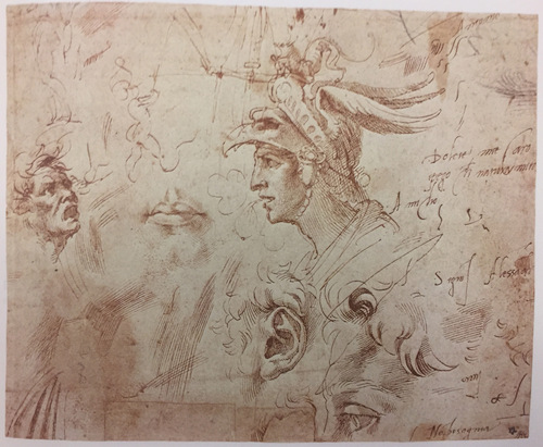 riproduzione